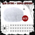 halloween spider web