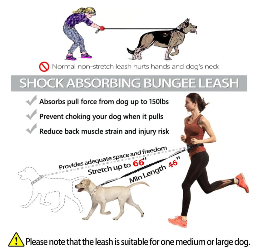 🔥Hands Free Dog Leash with Zipper Pouch