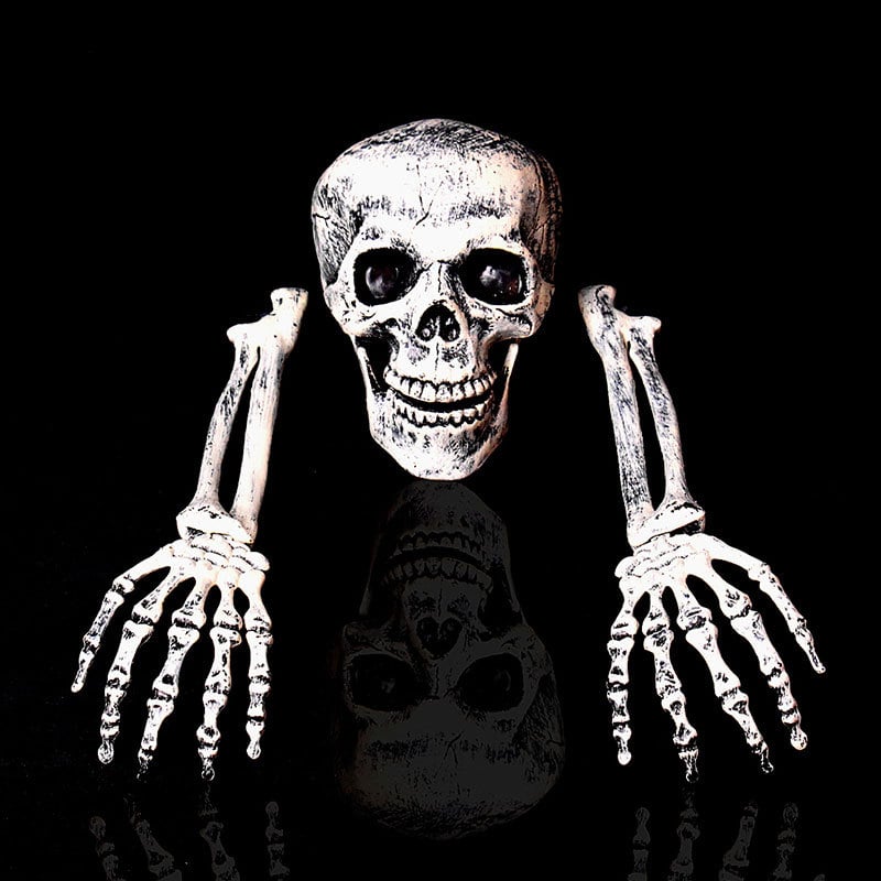 Halloween decorative skulls